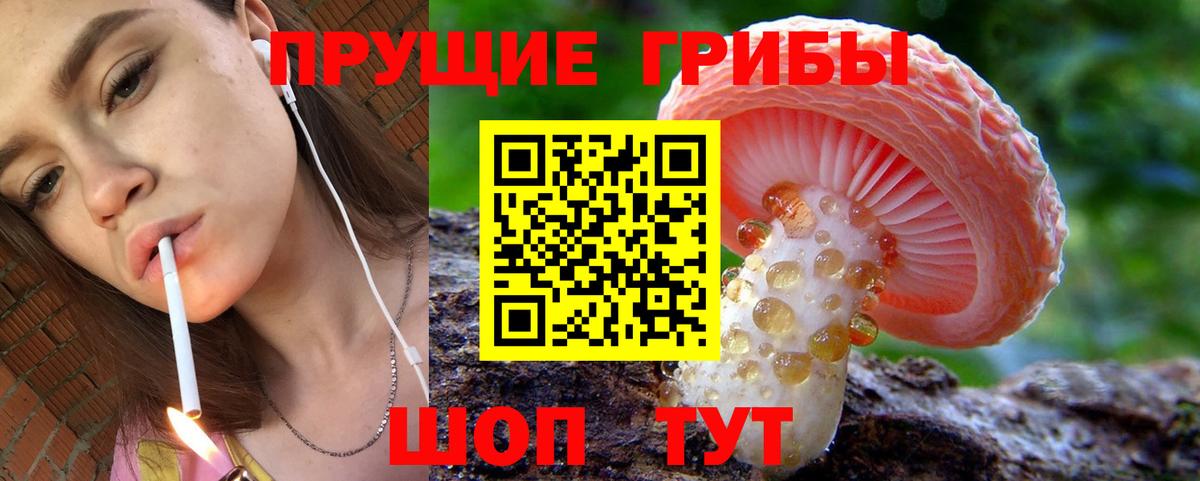 Галлюциногенные грибы MAGIC MUSHROOMS Коркино